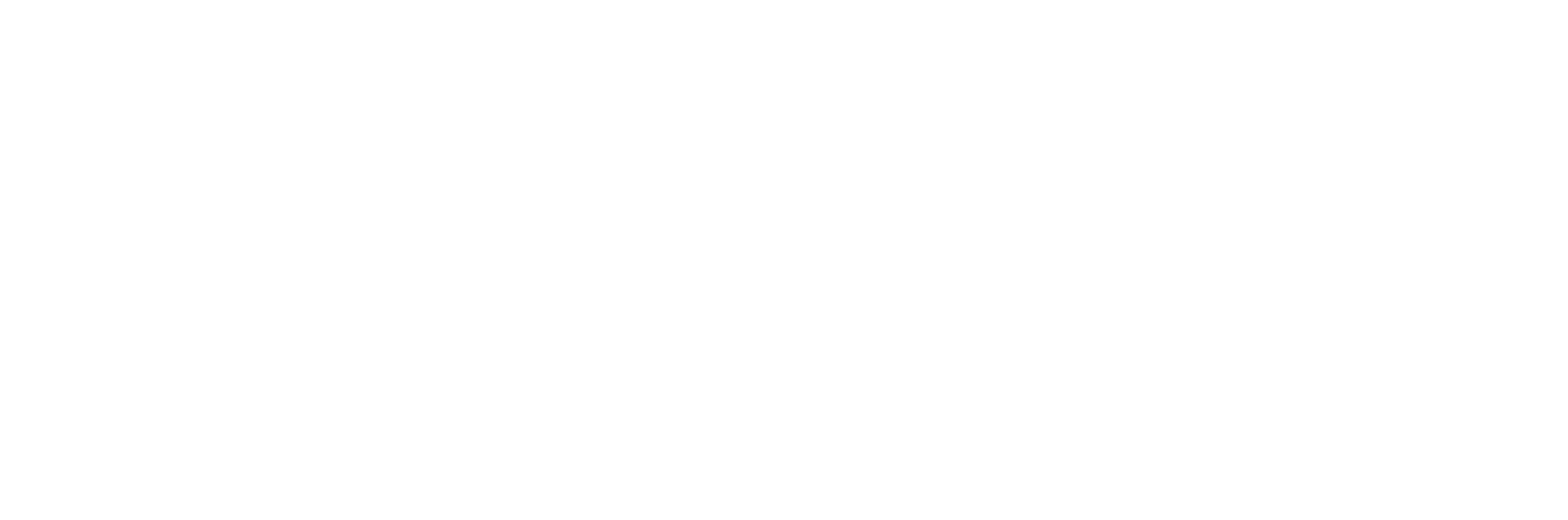 Turt